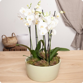 DÉCOUVRIR DÉCOUVRIR