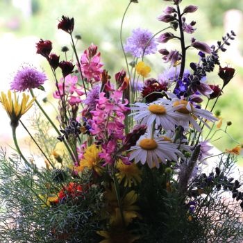 Le charme intemporel des bouquets de fleurs des champs