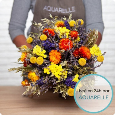 DÉCOUVRIR DÉCOUVRIR