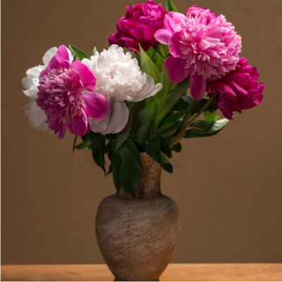 La pivoine : reine des fleurs de mai et ses significations