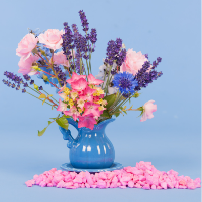 bleuets lavandes bleuets lavandes