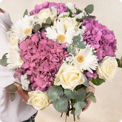 DÉCOUVRIR DÉCOUVRIR