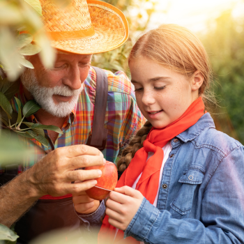 Fête des Grands-Pères Fête des Grands-Pères
