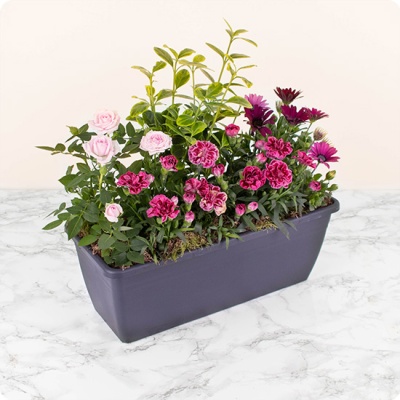 DÉCOUVRIR DÉCOUVRIR