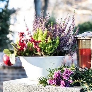 Quelles fleurs choisir pour décorer une tombe ?