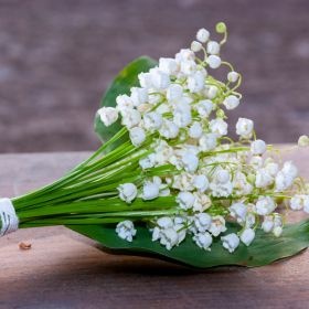 Bien conserver son muguet