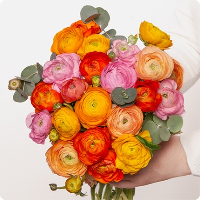 DÉCOUVRIR DÉCOUVRIR