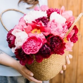 signification-couleurs-pivoines-350x350