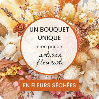 DÉCOUVRIR DÉCOUVRIR