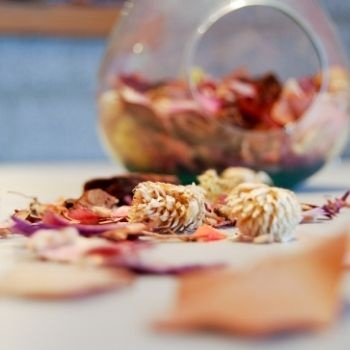 materiel-pot-pourri-350x350 materiel-pot-pourri-350x350