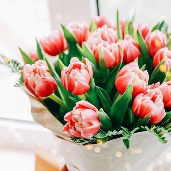 tulipes-roses-emballees-350x350 tulipes-roses-emballees-350x350