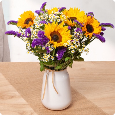 DÉCOUVRIR DÉCOUVRIR