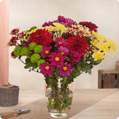 DÉCOUVRIR DÉCOUVRIR