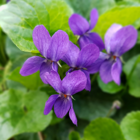 Photos_Blog_2 (280&nbsp;&times;&nbsp;280&nbsp;px) (34)