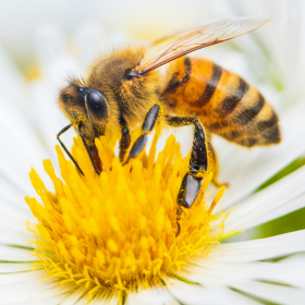 Photos_Blog_2 (280 × 280 px) (43) Photos_Blog_2 (280 × 280 px) (43)