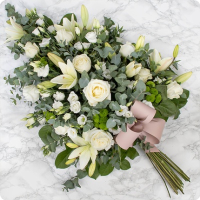 DÉCOUVRIR DÉCOUVRIR