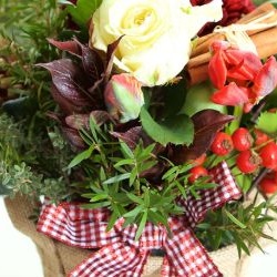 idee-fleurs-noel-920x250 idee-fleurs-noel-920x250