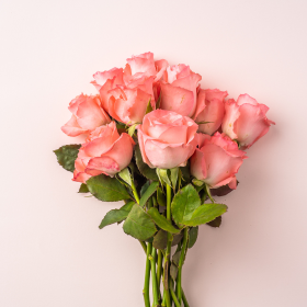 Roses sur fond rose Roses sur fond rose