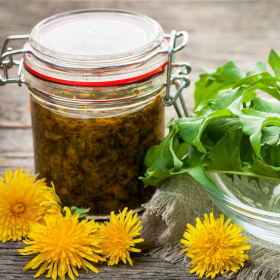 pissenlit, fleurs comestible pissenlit, fleurs comestible