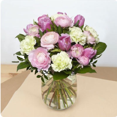 DÉCOUVRIR DÉCOUVRIR