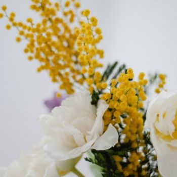 Photos_Blog (8) Photos_Blog (8)