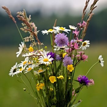 Photos_Blog (10) (1) Photos_Blog (10) (1)