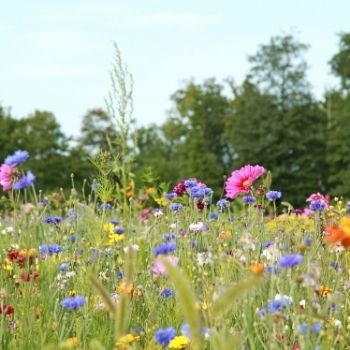 Le bouquet bohème : pourquoi on l'aime autant ?