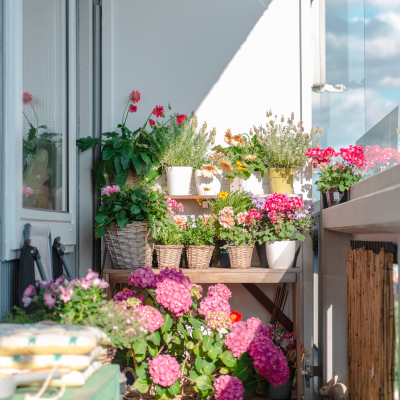 Balcon joliment aménagé avec de nombreuses fleurs colorées en pots et jardinières : géraniums, hortensias, marguerites… Un exemple idéal de jardinage sur petite surface en milieu urbain. balcon-fleuri-terrasse-jardinage-ville