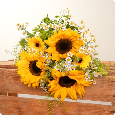 DÉCOUVRIR DÉCOUVRIR