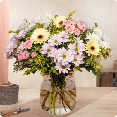 DÉCOUVRIR DÉCOUVRIR