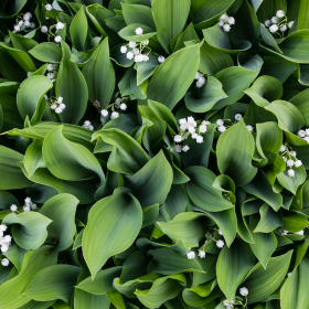 Photos_Blog_2 (280&nbsp;&times;&nbsp;280&nbsp;px) (44)