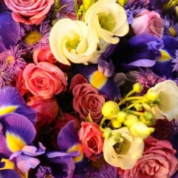 fleurs-variees-roses-et-jaune-350x350 fleurs-variees-roses-et-jaune-350x350