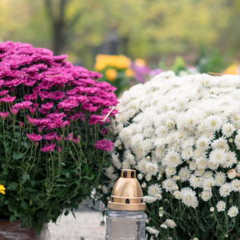 message-reconfort message-reconfort