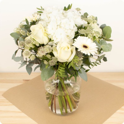 DÉCOUVRIR DÉCOUVRIR