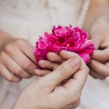 signification-amour-pivoine-350x350