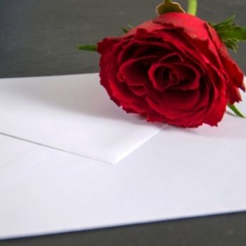 Rose rouge avec lettre de condoléance