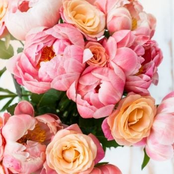 Bouquet de pivoine rose