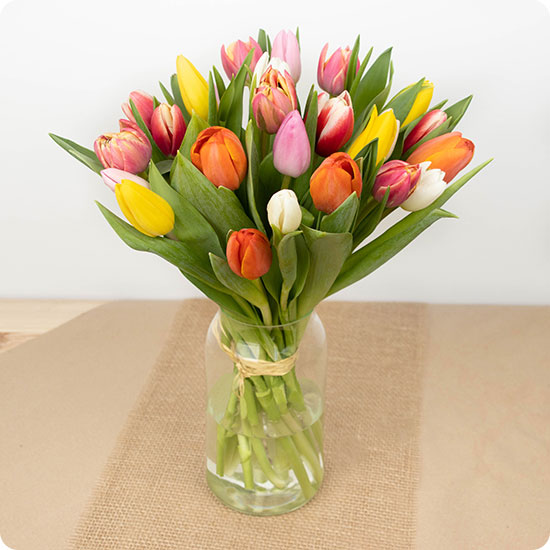  belle brassée de tulipes multicolore, composée avec des couleurs variées en fonction de l'arrivage du fleuriste