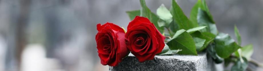 deux roses rouges ouvertes posée sur tombe