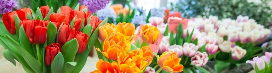 brassée de tulipes de toutes les couleurs : rouges et oranges