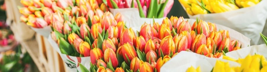 Brassée de tulipes orange fermées chez un fleuriste local