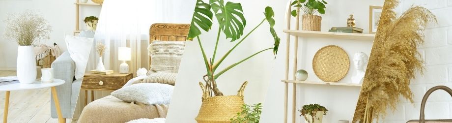 Plantes et fleurs décoratives pour intérieur