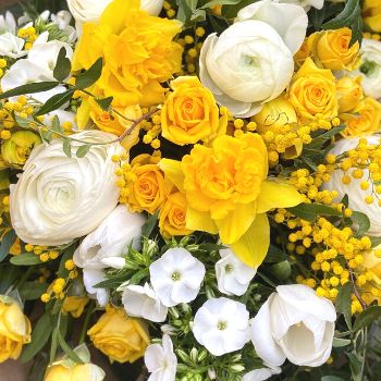 fleurs jaune et blanches de saison