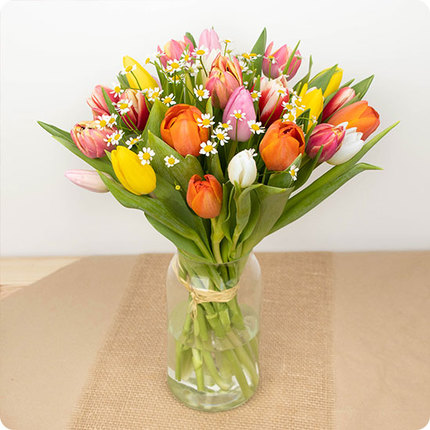 bouquet de tulipes colorées avec marguerites