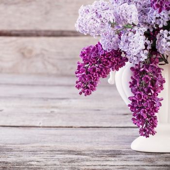 Magnifique lilas dans vase ancien
