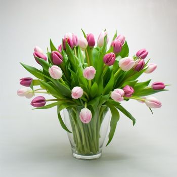 Brassée de tulipes rose foncées et claires 